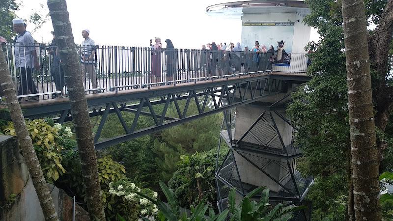 Gallery Photo 2