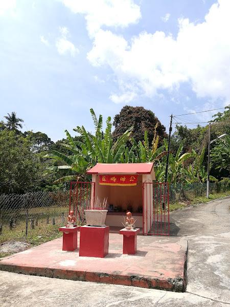 Gallery Photo 1