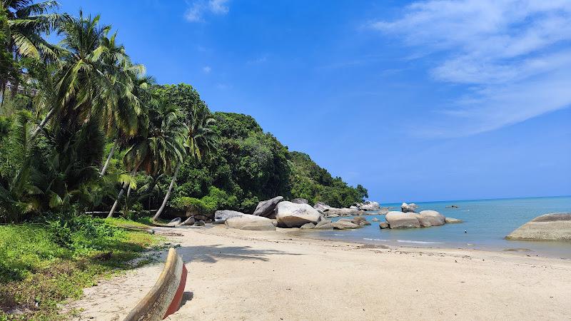 Beach of Moonlight Bay