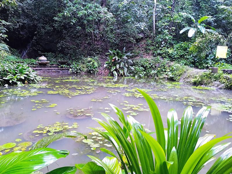 Penang Kebun Bunga