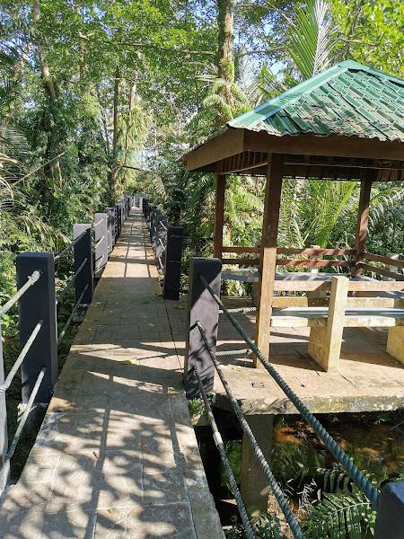 Air Itam Recreation Forest