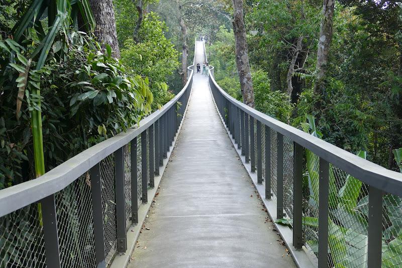 World longest Two Span Stressed Ribbon Bridge
