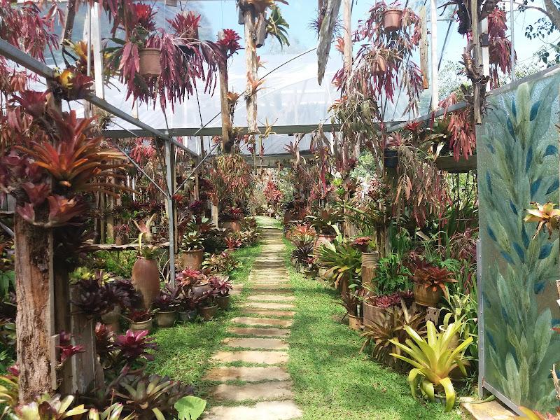 Gallery Photo 1