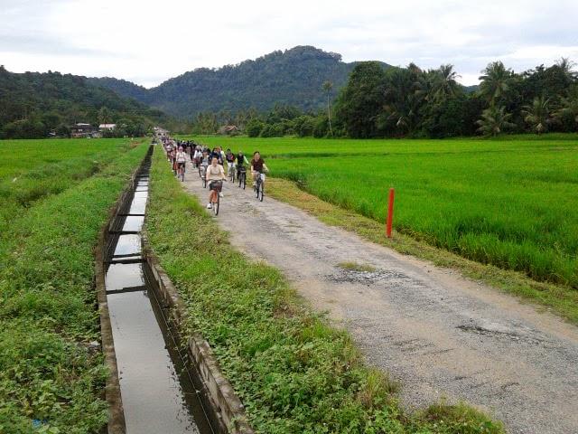 Explore Balik Pulau