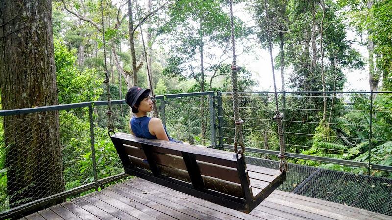 Penang Hill Swings