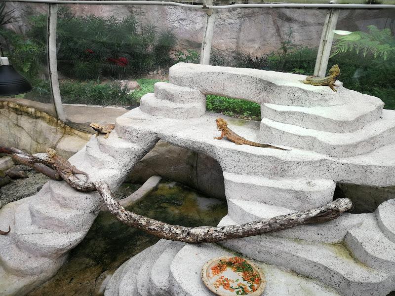 Gallery Photo 3