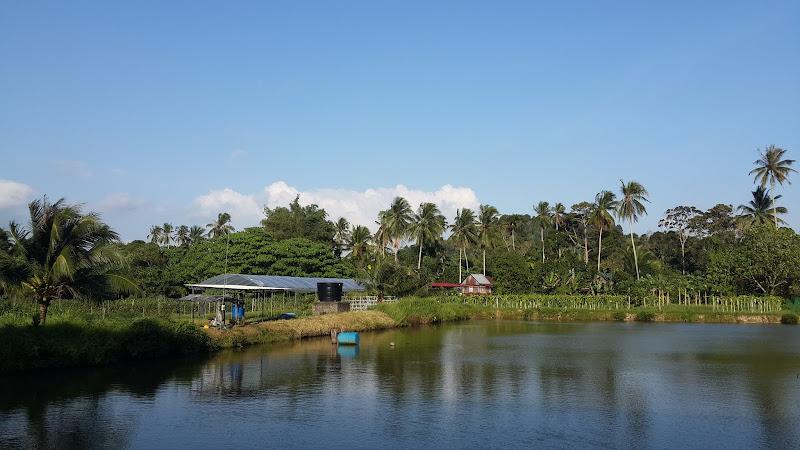 Comfort Organic Farm