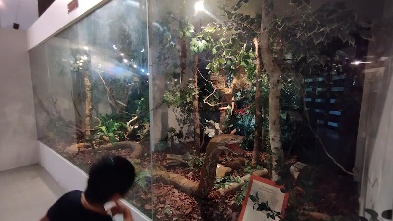 Gallery Photo 2