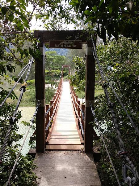 Penang National Park Hiking Bridge