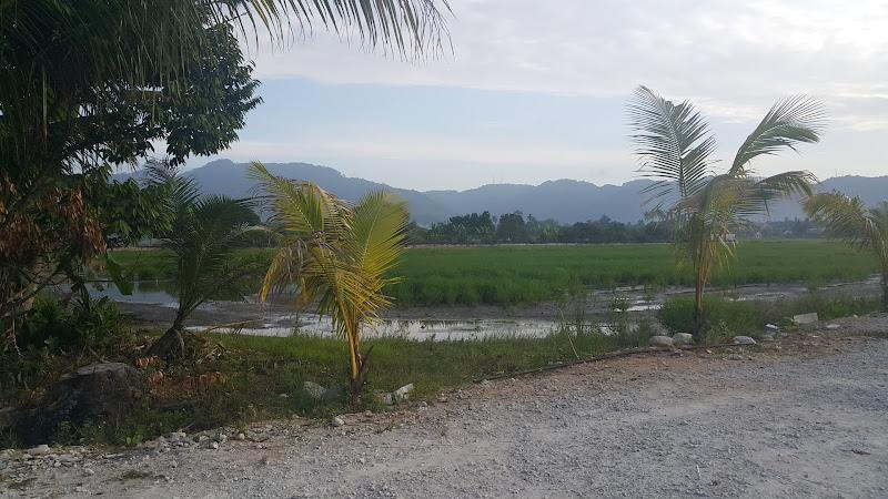 Sungai burung