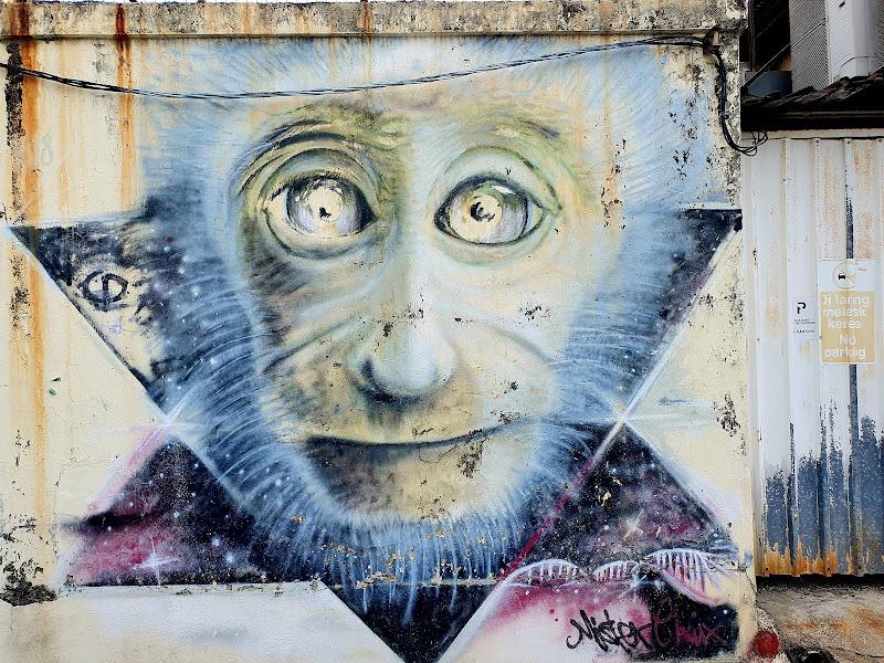 Monkey wall