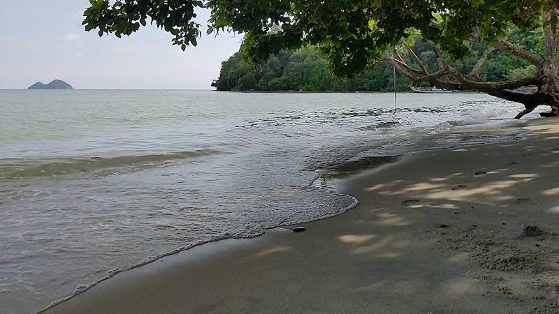 Nice beach view