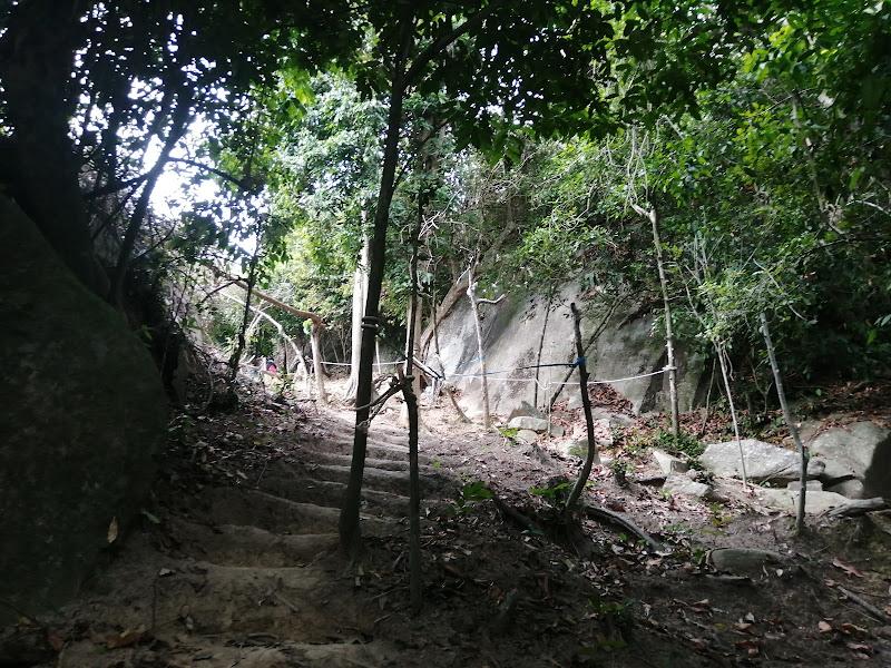 Gallery Photo 2