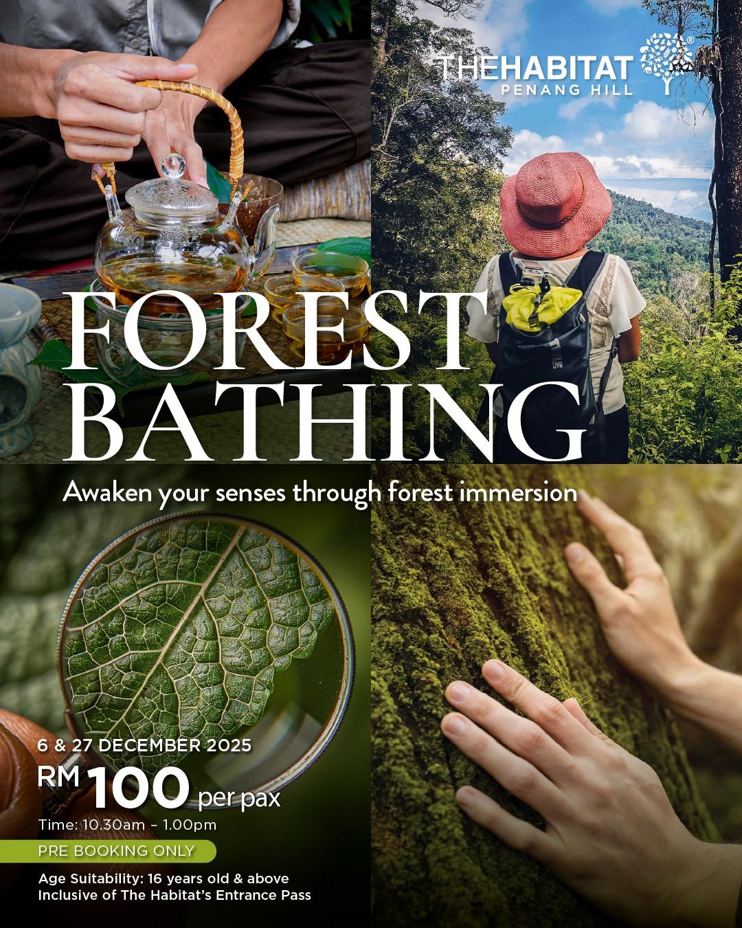 Forest Bathing by The Habitat Penang Hill