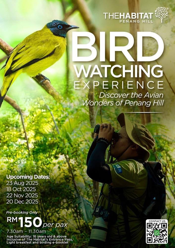 Birdwatching at The Habitat Penang Hill