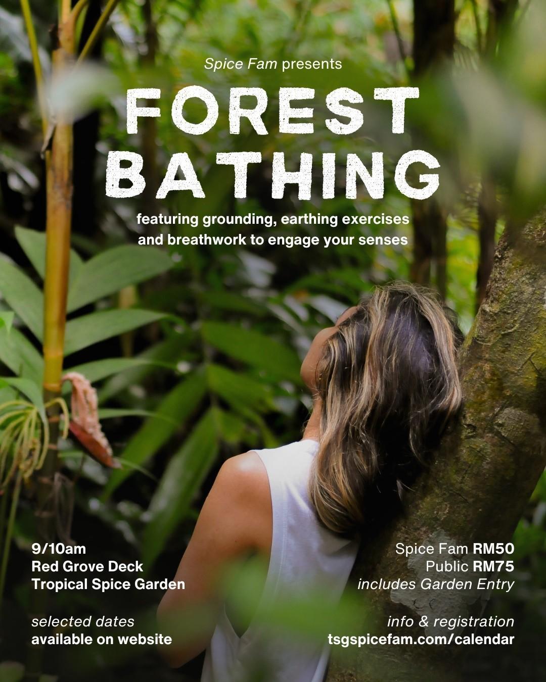Forest Bathing By Tropical Spice Garden
