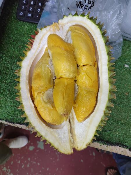 Durio Taste 1