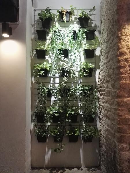 Gallery Photo 3