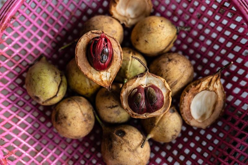 Nutmeg Factory 1