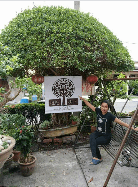 pipa tree house